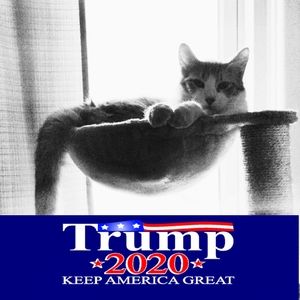 Meet your Posher, Edie kay